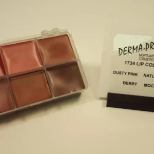 Lip Color Kit