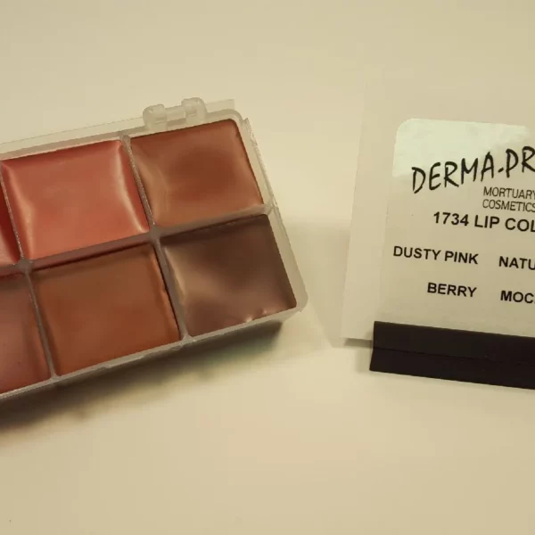Lip Color Kit
