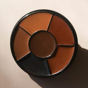 Quick Fix 6 Color Palette Medium/Dark Skin